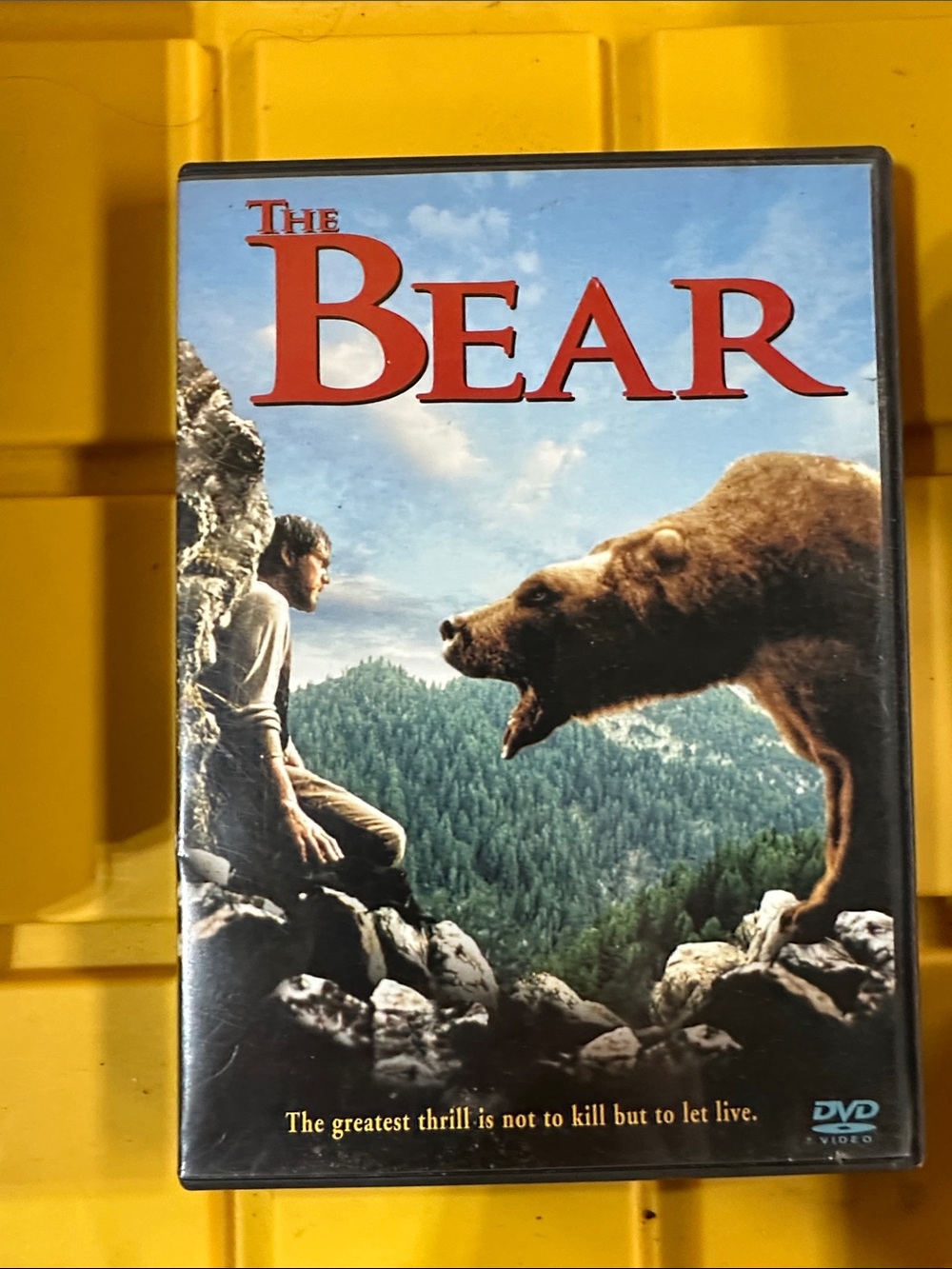 “The Bear” dvd